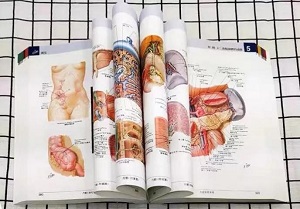 点此在新窗口浏览图片